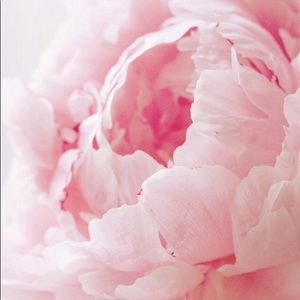 Meet your Posher, Queren